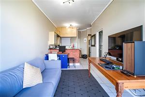 Modern 1 bed 1 bath apartment 