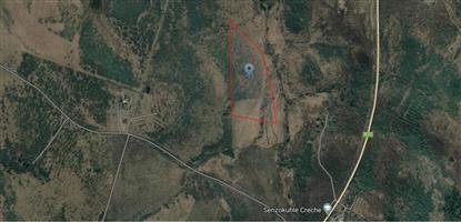 Farm For Sale in Albert Falls