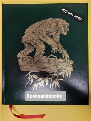 The Great Apes - Between Two Worlds - National Geographic Society.