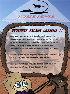 Horse Riding Lessons 