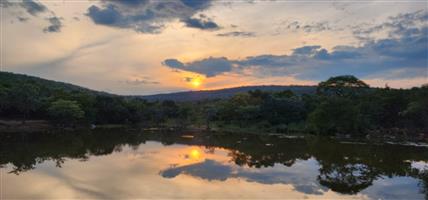 Untamed Wilderness Awaits — Exceptional 734ha Game Farm For Sale!