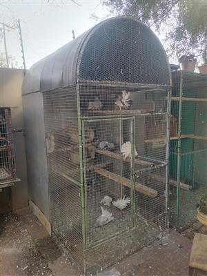 1.8mx1.2mx2.5m cage. BIRDS NOT INCLUDED