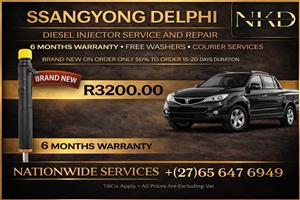 Ssangyong 2l Delphi Diesel Injectors