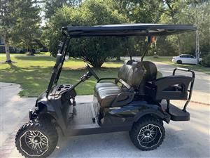 2024 Revised Customized Golf Cart