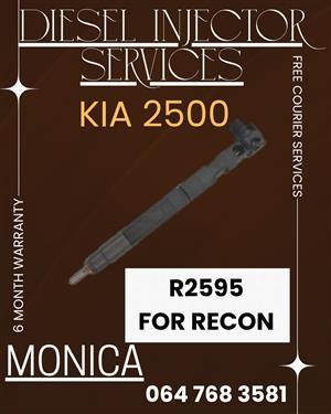 Professional Diesel Injector Recon Services