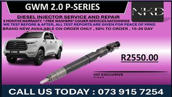 GWM 2.0L P-Series Diesel Injectors 