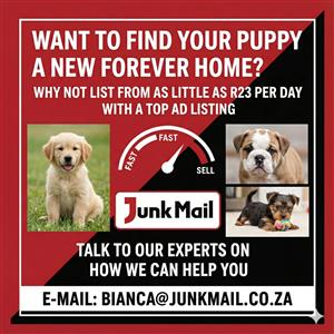 Want to be seen firs