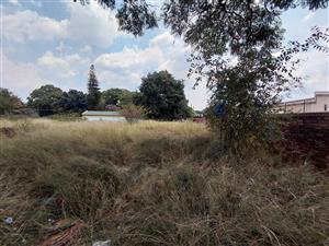 Strategic Commercial Development Opportunity