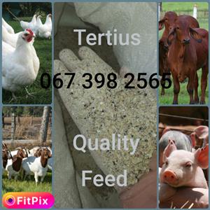 Quality feed for you're livestock/farm animals 