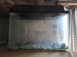 Various Fish Tanks