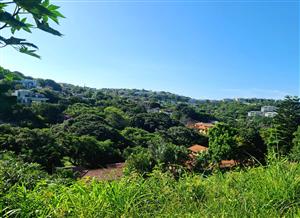 Prime Vacant Land in Ballito's Exclusive Residential Area