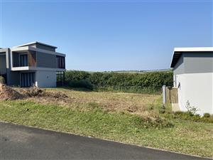 Build Your Dream Home