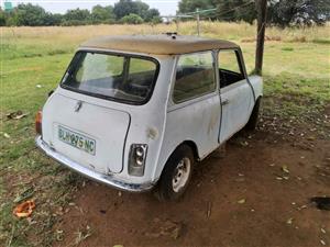 Mini for sell 5000 non ranner or spers