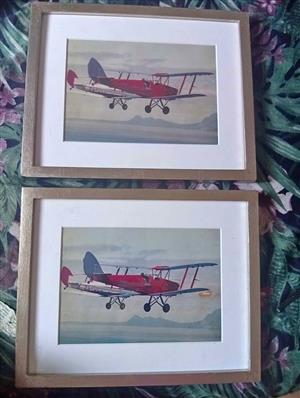 Pair plane pictures 