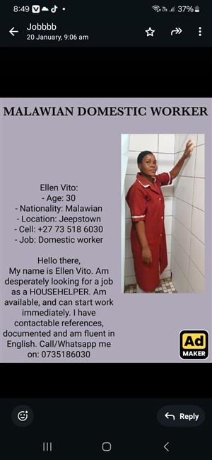 Domestic worker /Nanny 