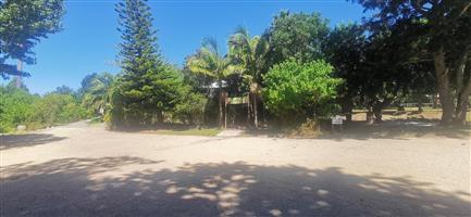 Potential of a lifetime in the heart of Harkerville Forest