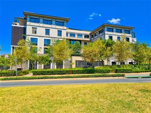 330m² Premium Office to Let in Monte Circle