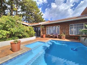 STUNNING  BADENHORST BEAUTY UP FOR GRABS!