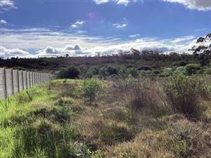 Vacant Land Residential For Sale in Albertinia