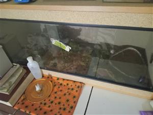 Selling a corn snake with its cage – perfect for beginners or reptile lovers 