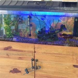 Fish Tank