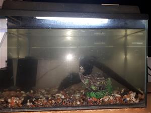 Fish tank for sale R500