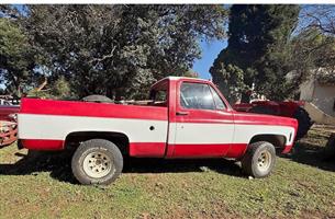 Chevrolet C10 - Pick-up Project 