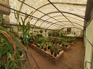 Charming Nursery for Sale – A Blossoming Business Opportunity!