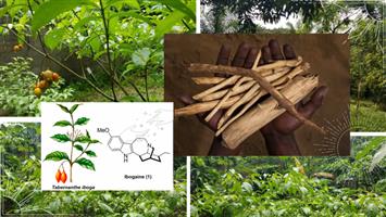 Addiction interrupter" and rapid-detoxification 