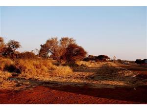 Commercial Property - New Developments and Stands