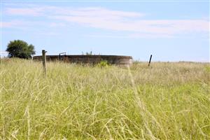 Small Holding For Sale in Heilbron