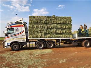 Small Lucerne Bales (For Sale)
