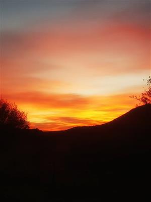 Vacant Land Residential For Sale in Blue Saddle Ranches