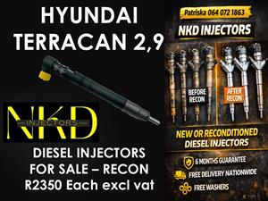 TRUSTED DIESEL INJECTORS SUPPLIER - HYUNDAI TERRCAN 2,9 
