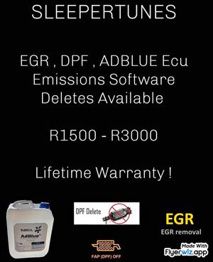 EGR , DPF , SWIRLFLAPS , ADBLUE  Ecu Emissions Software Delete
