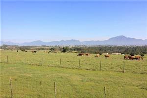 99ha Farm in Hansmoeskraal:  A Rare Opportunity
