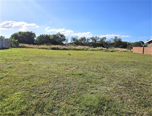 Dynamic Commercial Investment Opportunity