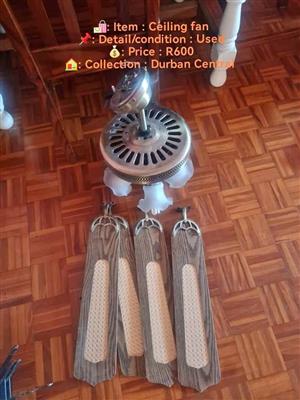 Ceiling fan