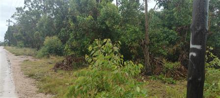 Spacious 24000 m² vacant land for sale – perfect for your dream project or investment opportunity!