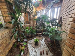 Perfect Buy In SE 3 With A Huge Home With A Unique Layout and A Massive Yard