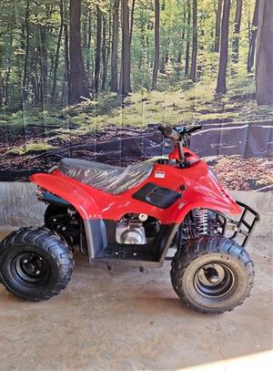 110cc Youth Quadbike