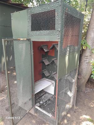 Pigeon kit box or aviary or duiwe hok