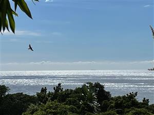 Premium Coastal Living — One Road From the Beach