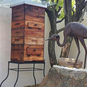 Bee Hive
