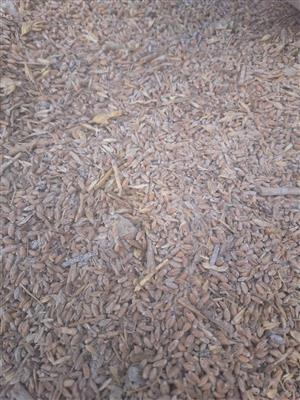 Animal wheat sweepings