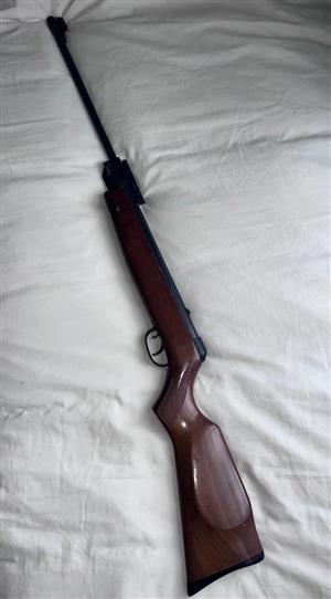 GAMO Pellet Rifle