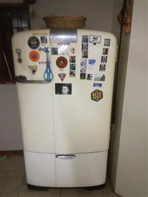 Kelvinator fridge