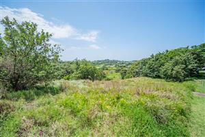 Build your dream home with views