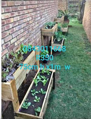 Planter  boxes