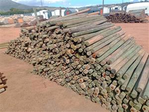 2.1m CCA h4 treated repurpose poles